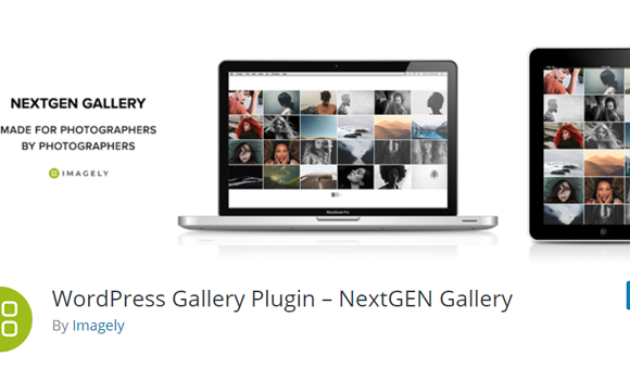 Plugin WordPress Terbaik