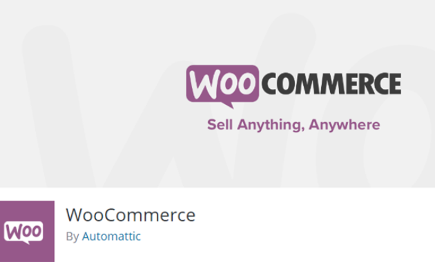 Plugin WordPress Terbaik
